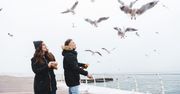 Chcesz wiedzieć, czy związek przetrwa? Zrób "test ptaka", a wszystko będzie jasne