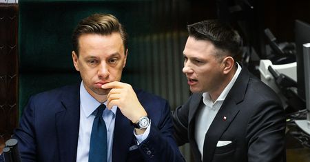 Konfederacja. Nadzieja prawicy i rafy realnej polityki [OPINIA]