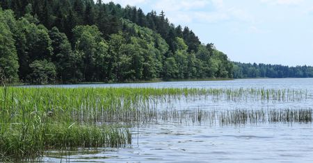 Holandia. Wstrząsająca sytuacja. Zdradził go monitoring