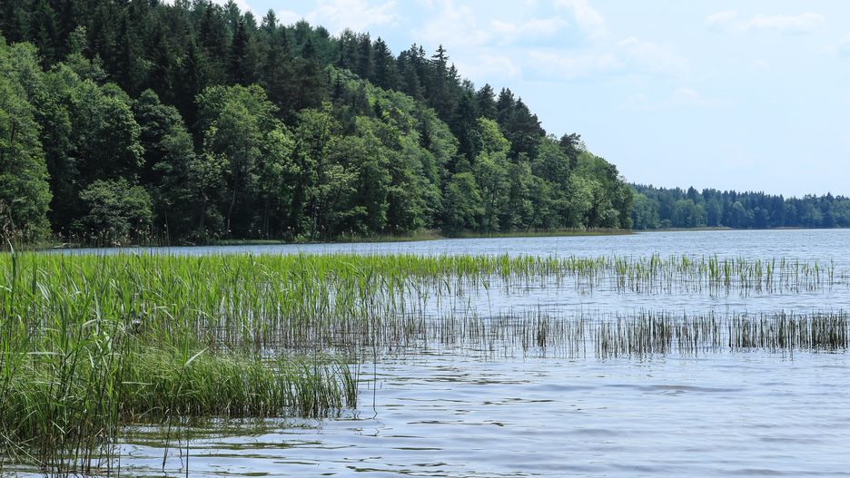 Jezioro Hańcza 
