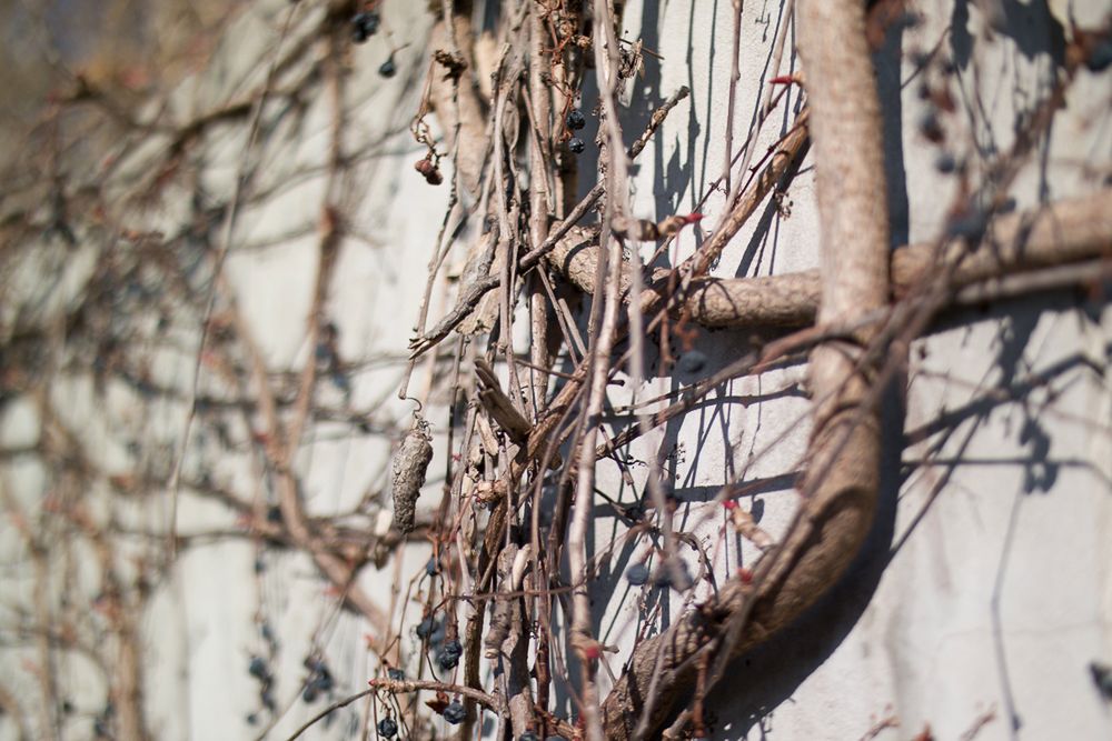 Samsung NX30 - solidny, wygodny, ale nie bez wad [test] 36