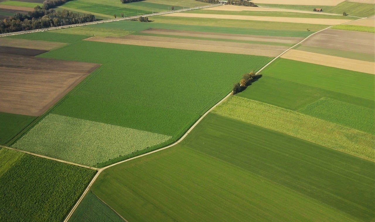 Statystycznie rolnik to milioner z grubym portfelem. Grunty są warte ogromne pieniądze! A co na to rolnicy?