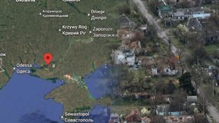 Jedzą chwasty i trawę, by przetrwać. Oleszki to "drugi Mariupol"