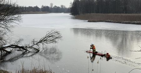 Druhowie musieli ratować łabędzia przymarzniętego do lodu