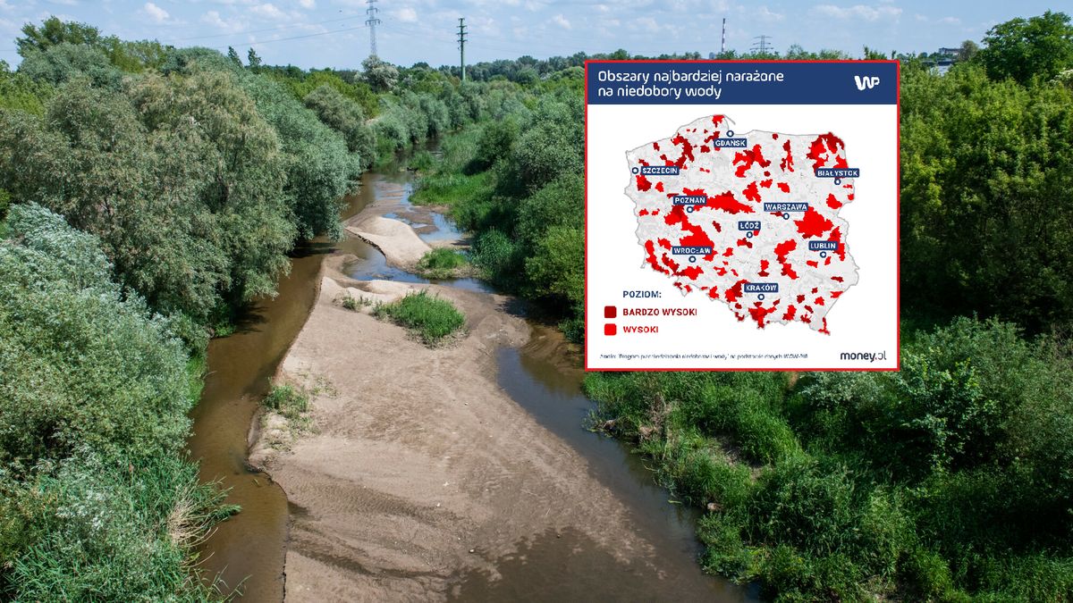 W Polsce jest coraz mniej wody. Od 2018 r. susze występują co roku