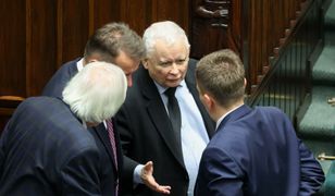 "Będą szli na zderzenie i zwarcie". PiS już znalazł wroga numer 1