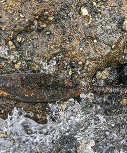 Jedyne tak zachowane znalezisko. Sensacyjne odkrycie z lodowca w Norwegii