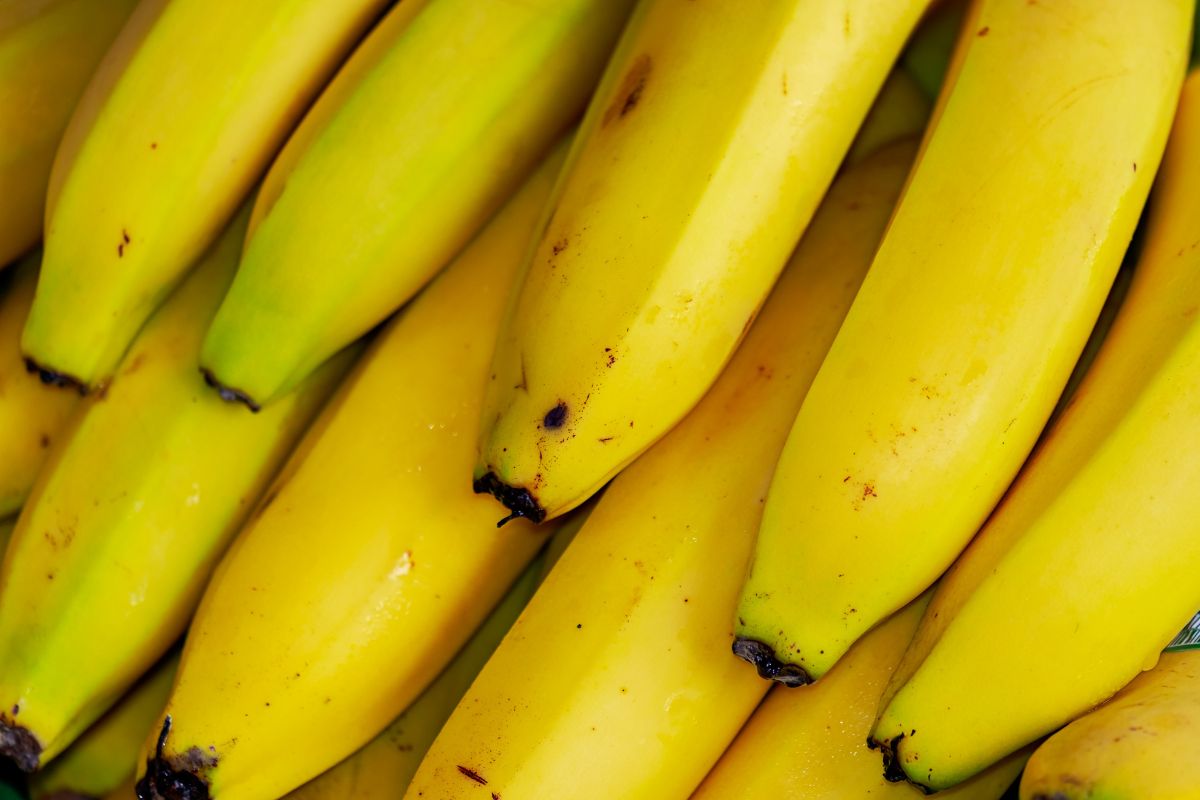 Bananas contain a lot of potassium. This is an advantage, but also a contraindication.