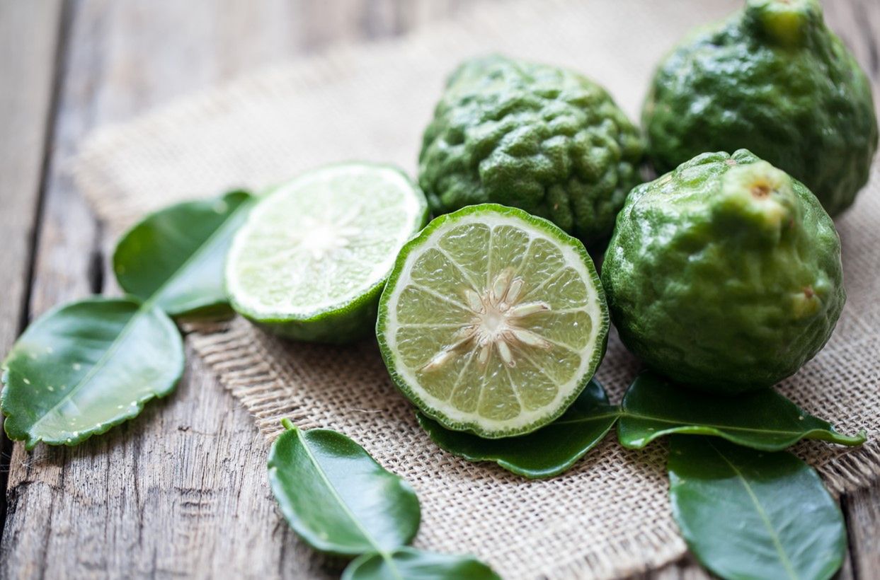 Bergamotka - charakterystyka, składniki, właściwości, herbata z bergamotki, olejek