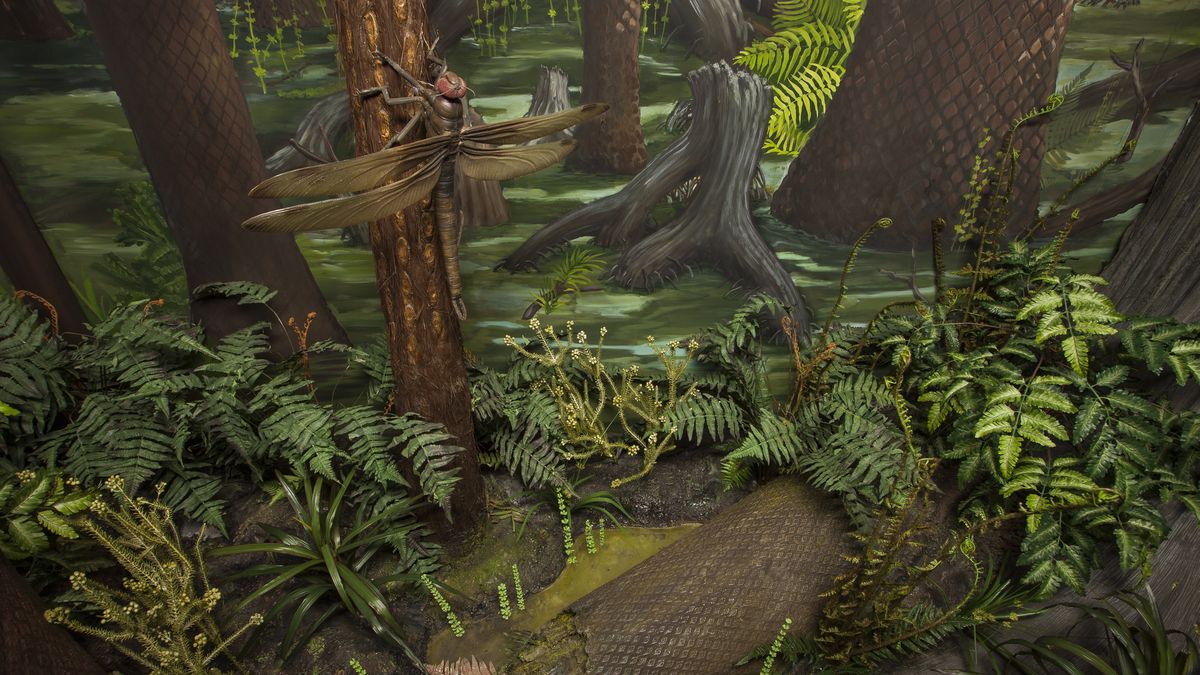 Wielkie prehistoryczne ważki nie potrzebowały dużo tlenu?