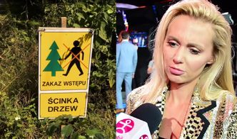 Moś broni Puszczy Białowieskiej: "Tu chodzi o biznes! Natura sam sobie radzi"