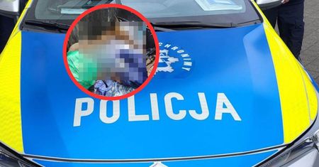 Leżała martwa w śmietniku. "Nieludzkie". Odkrycie w Bydgoszczy