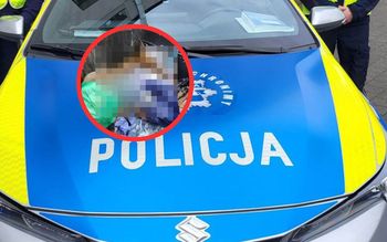 Leżała martwa w śmietniku. "Nieludzkie". Odkrycie w Bydgoszczy