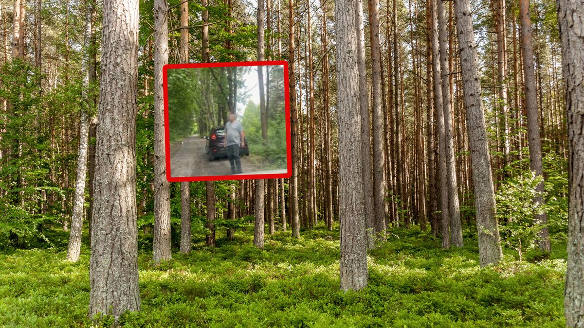 Mężczyzna przyłapany w lesie.