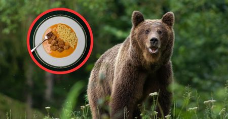 Oto, co serwowali w tatrzańskiej restauracji. Potężna kara