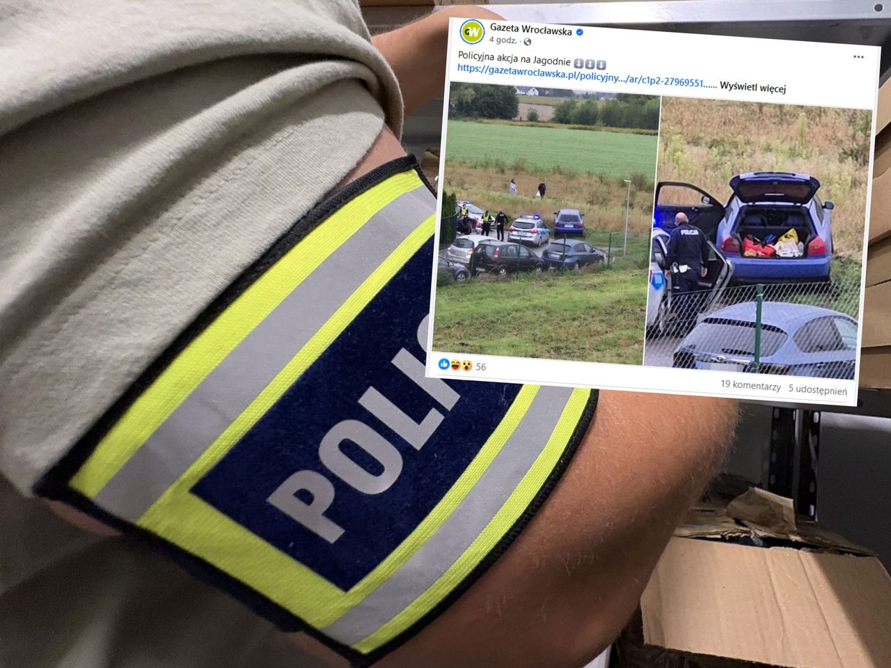 Pościg na wrocławskim Jagodnie. Pijany kierowca wylądował na łące