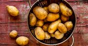 Genialny trik na obieranie młodych ziemniaków. Potrzebujesz jedną rzecz