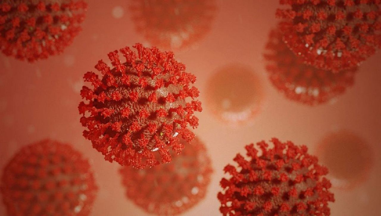 Cztery objawy koronawirusa naraz? Ekspert: wykazuje je niewielki odsetek chorych