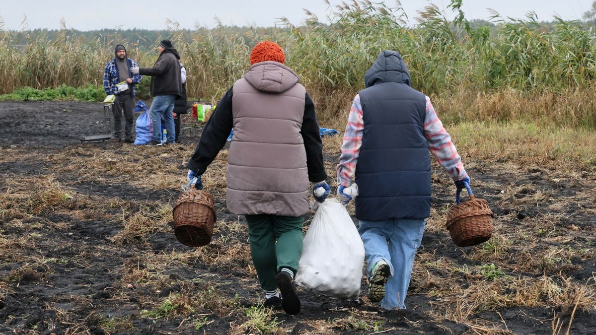  Samozbiory w woj. kujawsko-pomorskim