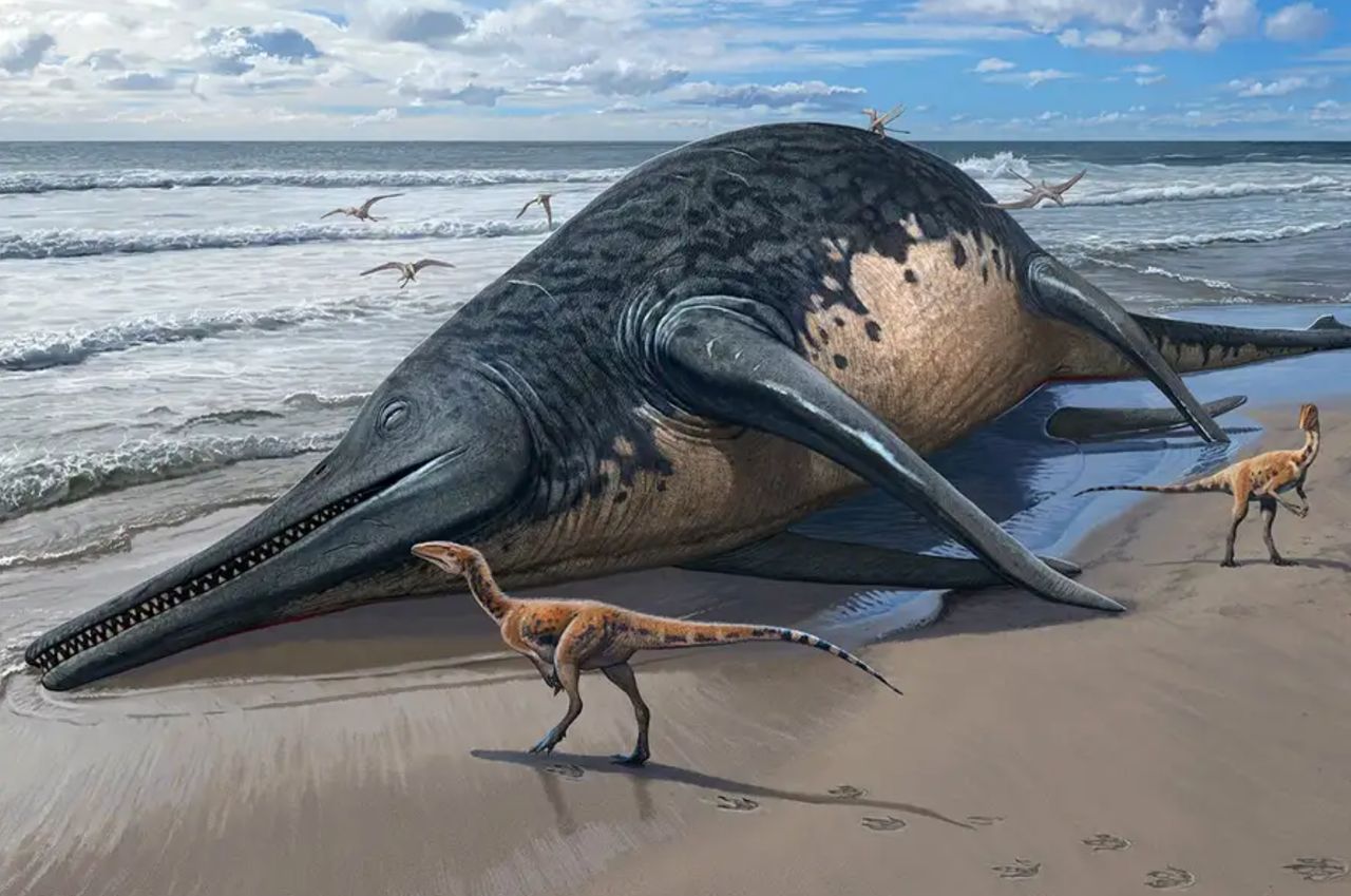 Wielki jak dinozaur. Mógł być największym gadem morskim