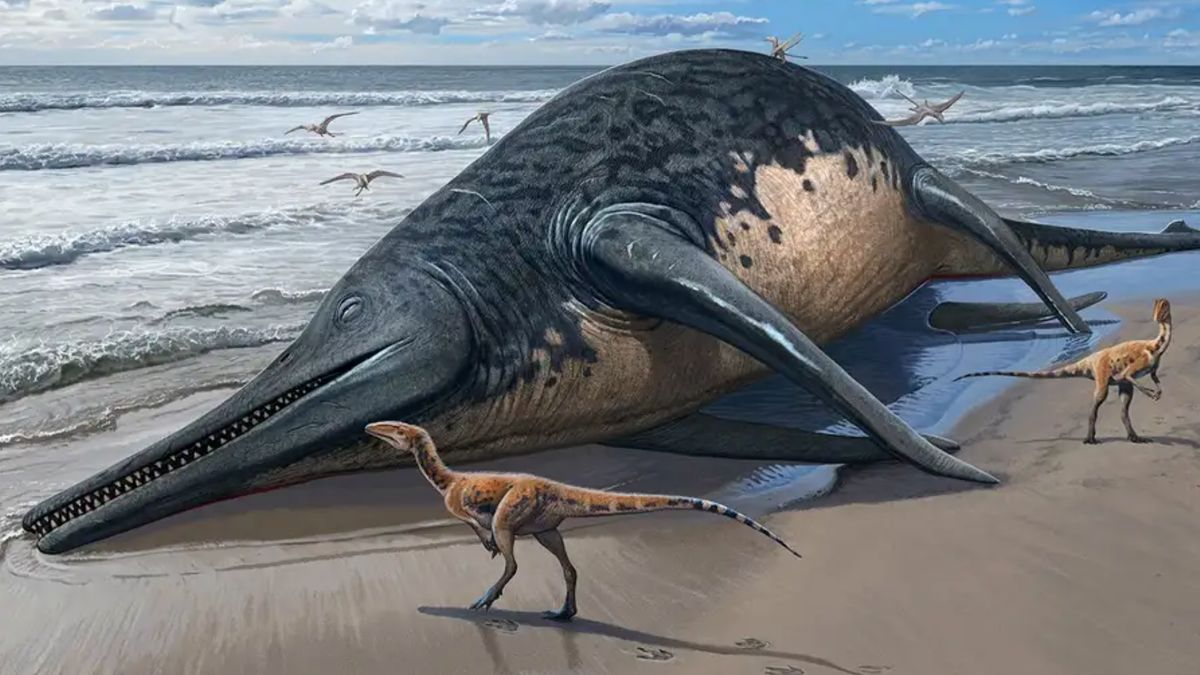 Ichthyotitan severnensis