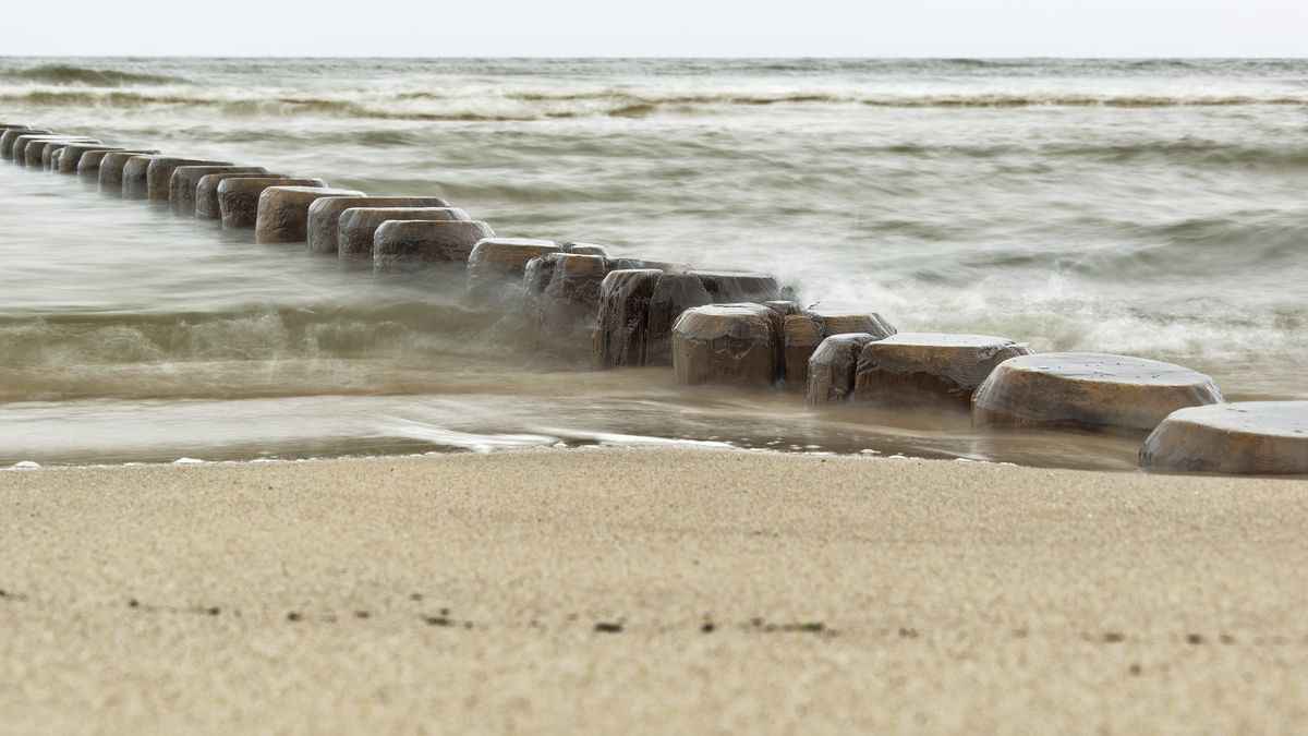 W Bałtyku pojawiły się sinice