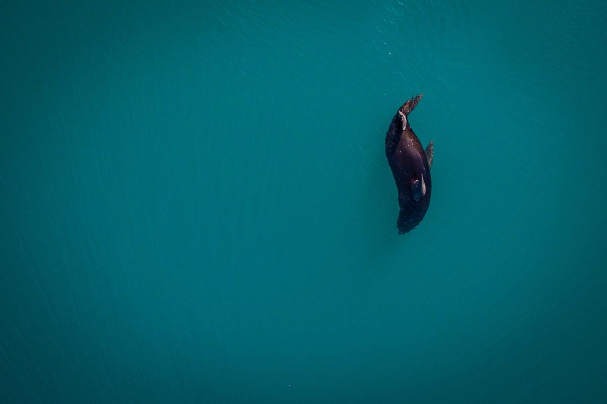EyeEm Awards 2017 - zobacz zdjęcia nagrodzone w największym konkursie fotograficznym świata 22