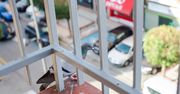 Kraków: Mieszkańcy mają dość wszechobecnych gołębi