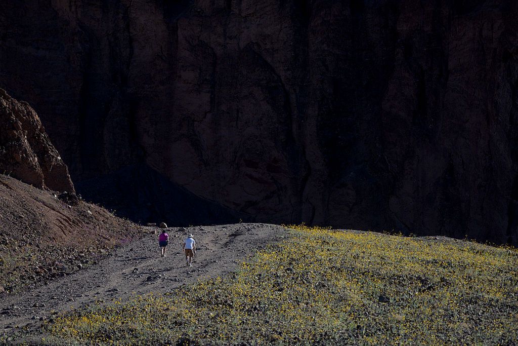 Takie zdjęcia w Dolinie Śmierci zostały wykonane na początku marca