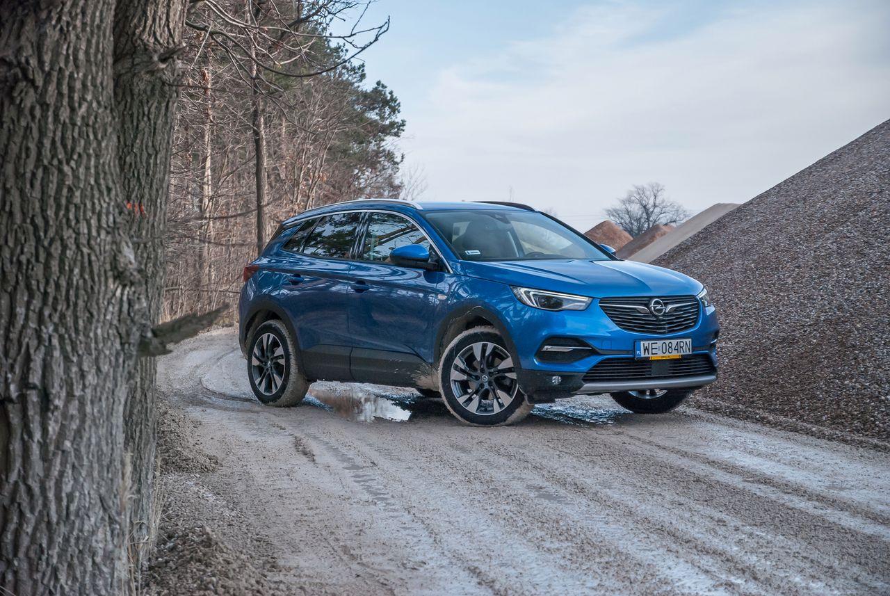 Opel Grandland X: nie zaskakuje, ale oferuje wystarczająco dużo