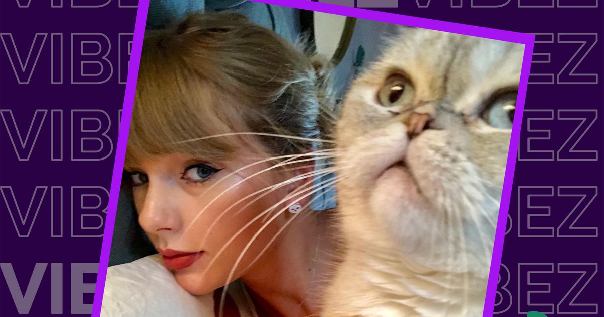 Kotka Taylor Swift jest multimilionerką. Ranking najbogatszych zwierząt - Vibez