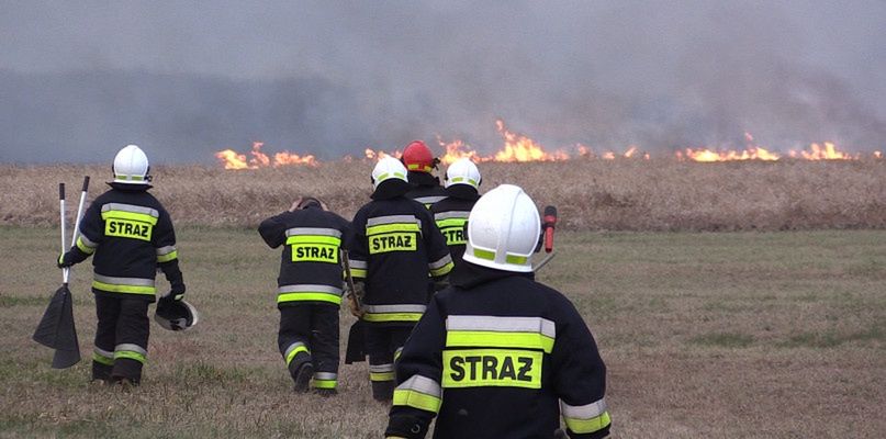 Potężny pożar w Lipiej Górze