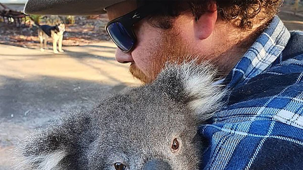 Bohaterskie małżeństwo z Australii uratowało blisko 700 dzikich zwierząt