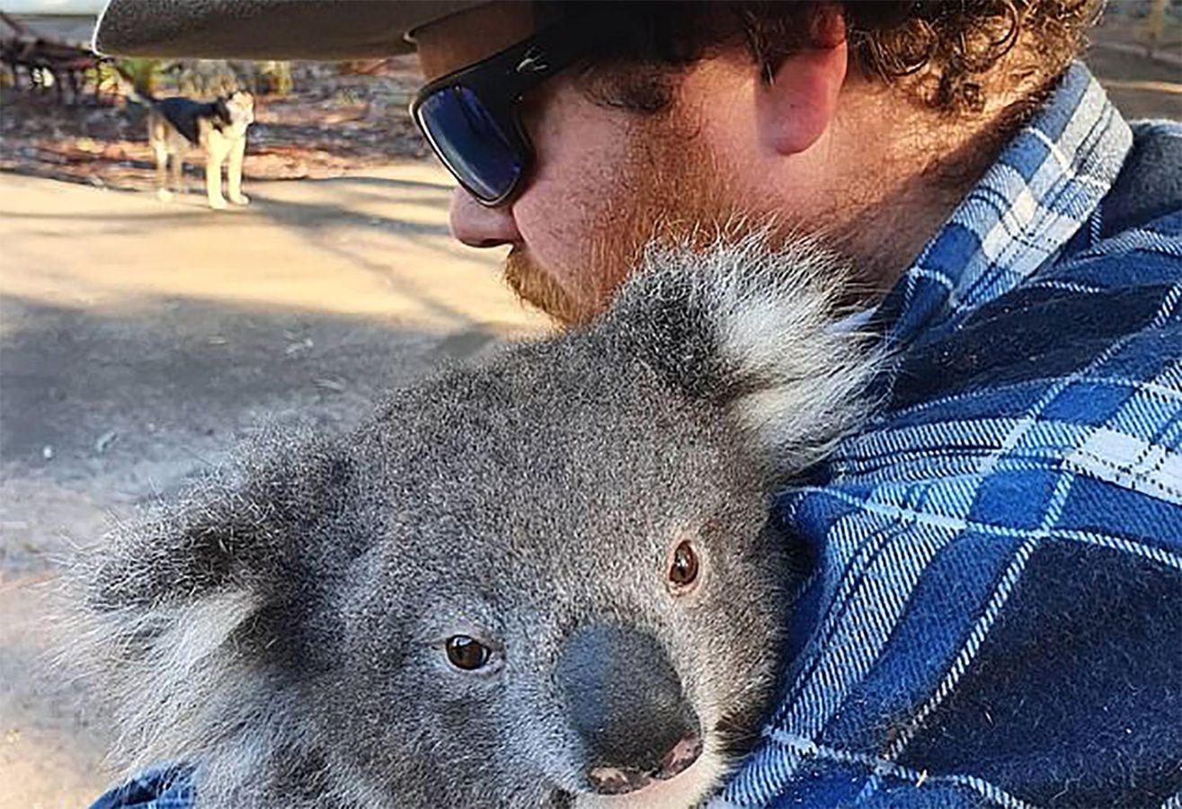 Bohaterskie małżeństwo z Australii uratowało blisko 700 dzikich zwierząt