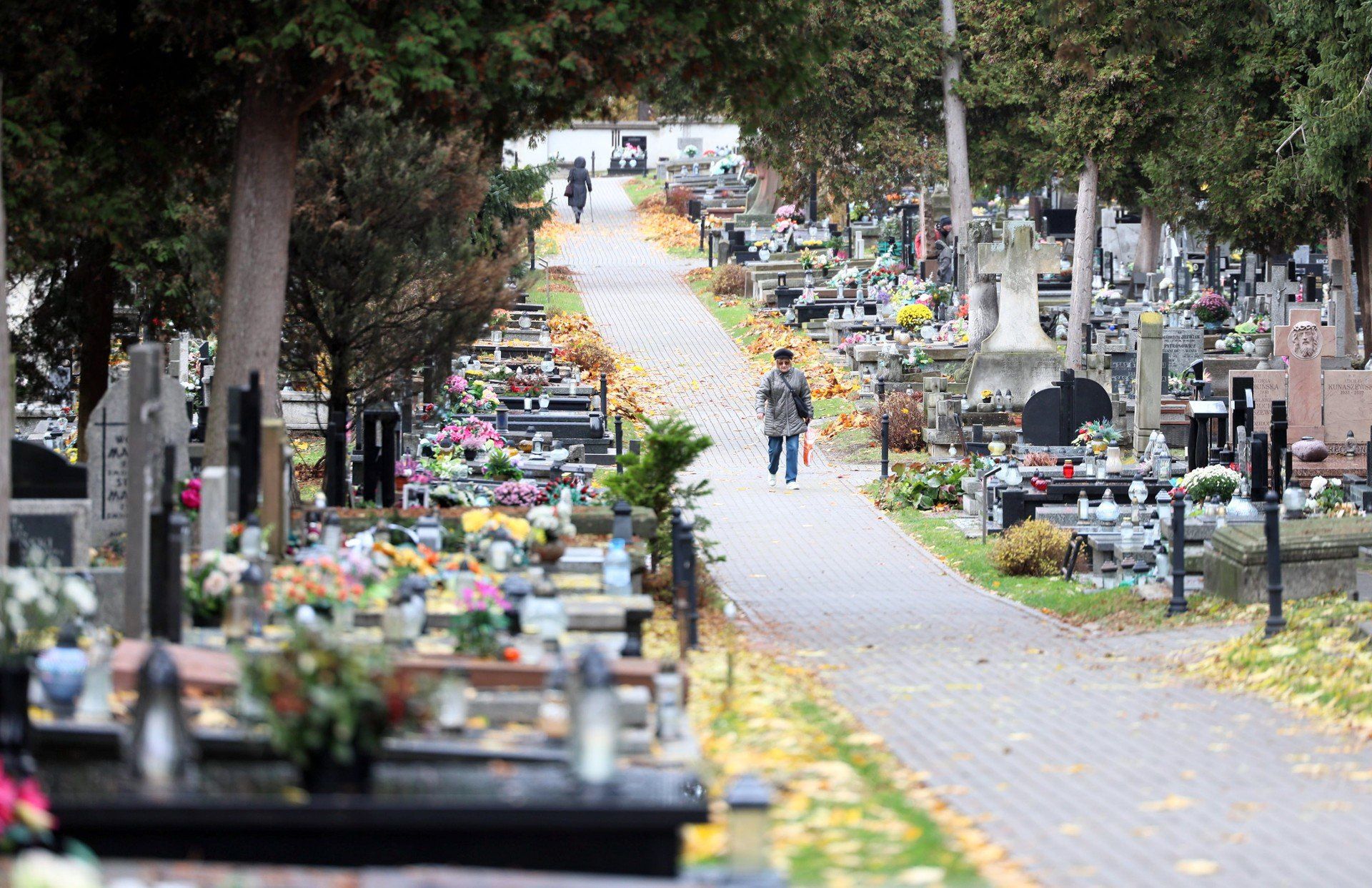 Na cmentarzu przy ul. Lipowej ceny odstąpienia prawa do grobu sięgają kilkudziesięciu tysięcy złotych