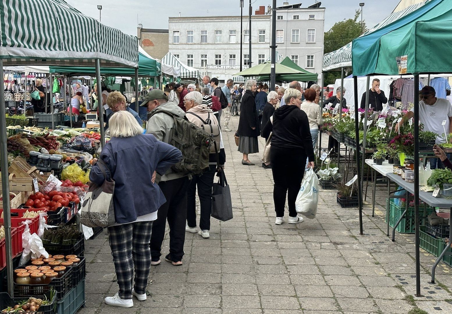 Po ile owoce i warzywa w maju 2025 roku? Truskawki, szparagi i pomidory na targowisku w Lesznie