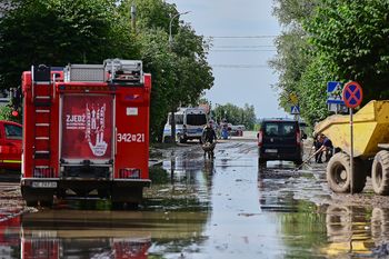 "Mokre żniwa": rolnicy walczą z pogodą o jakość plonów