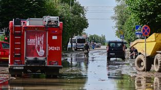"Mokre żniwa": rolnicy walczą z pogodą o jakość plonów