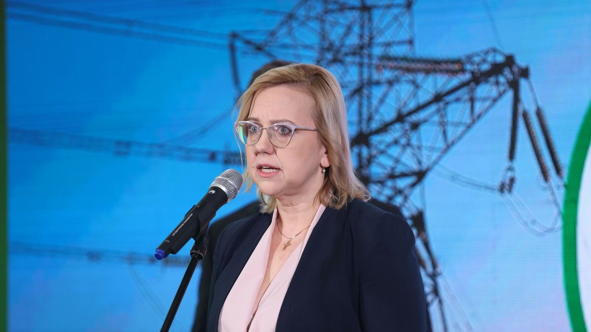 - Poprzez polityki regulacyjne wspierany jest również rozwój OZE  - przekonuje resort środowiska