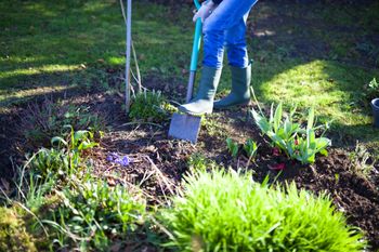 Prace w ogrodzie w marcu. To możesz już zrobić