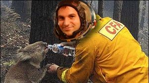 Karmiczna Koala będzie nowym Ubuntu 1