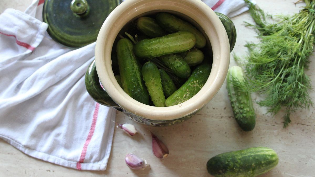 W tym sezonie zrobisz najlepsze ogórki!