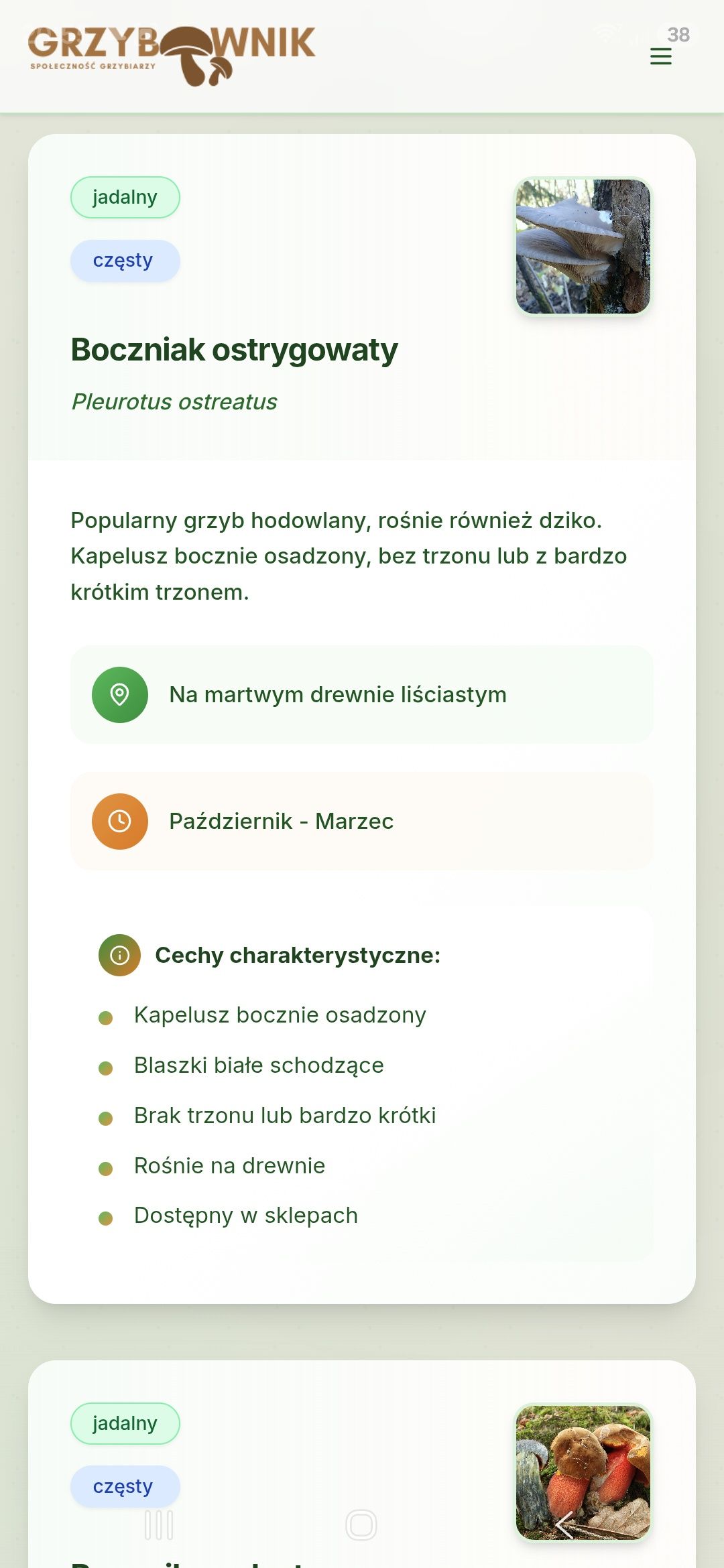 Grzybownik 