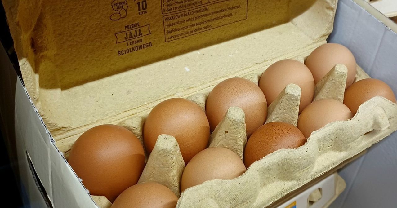 Na to zwróć uwagę, gdy kupujesz jajka. Ten numer mówi wszystko