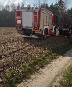 Tragedia pod Strykowem. Nie żyje mężczyzna