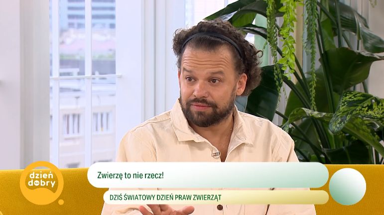 Michał Piróg w "Dzień Dobry TVN"