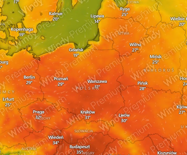 Początek miesiąca może być upalny. Prognoza na 5 czerwca
