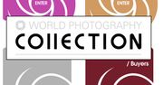 World Photography Collection - globalna platforma promocyjna dla fotografów