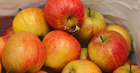 W marketach ich nie znajdziesz. To najlepsze jabłka do deserów
