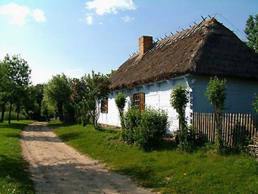 Obraz